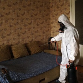 Уничтожение насекомых в доме. Новосибирск