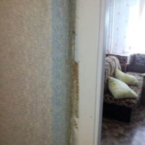 Борьба с клопами в квартире с гарантией Новосибирск