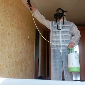 Уничтожение тараканов в квартире – цена в Новосибирске
