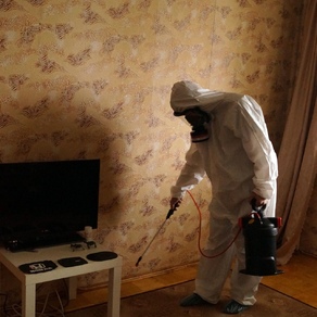Уничтожение тараканов вызов на дом. Новосибирск