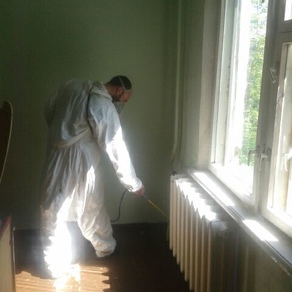 Уничтожить тараканов в квартире в Новосибирске