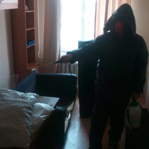 Выведение тараканов в квартире с гарантией в Новосибирске
