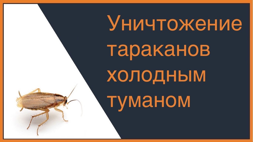 Уничтожение тараканов холодным туманом в Новосибирске