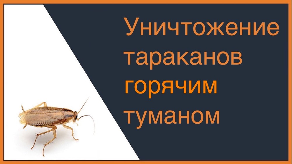 Уничтожение тараканов горячим туманом в Новосибирске